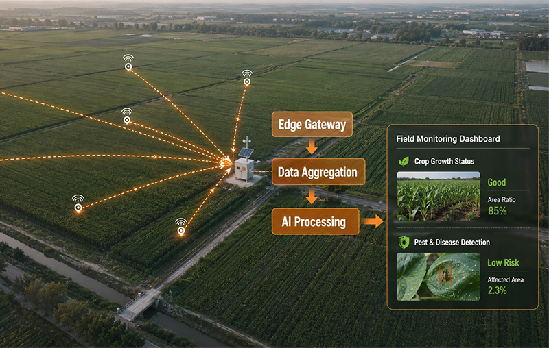 Gateway-based coverage with data aggregation and edge processing