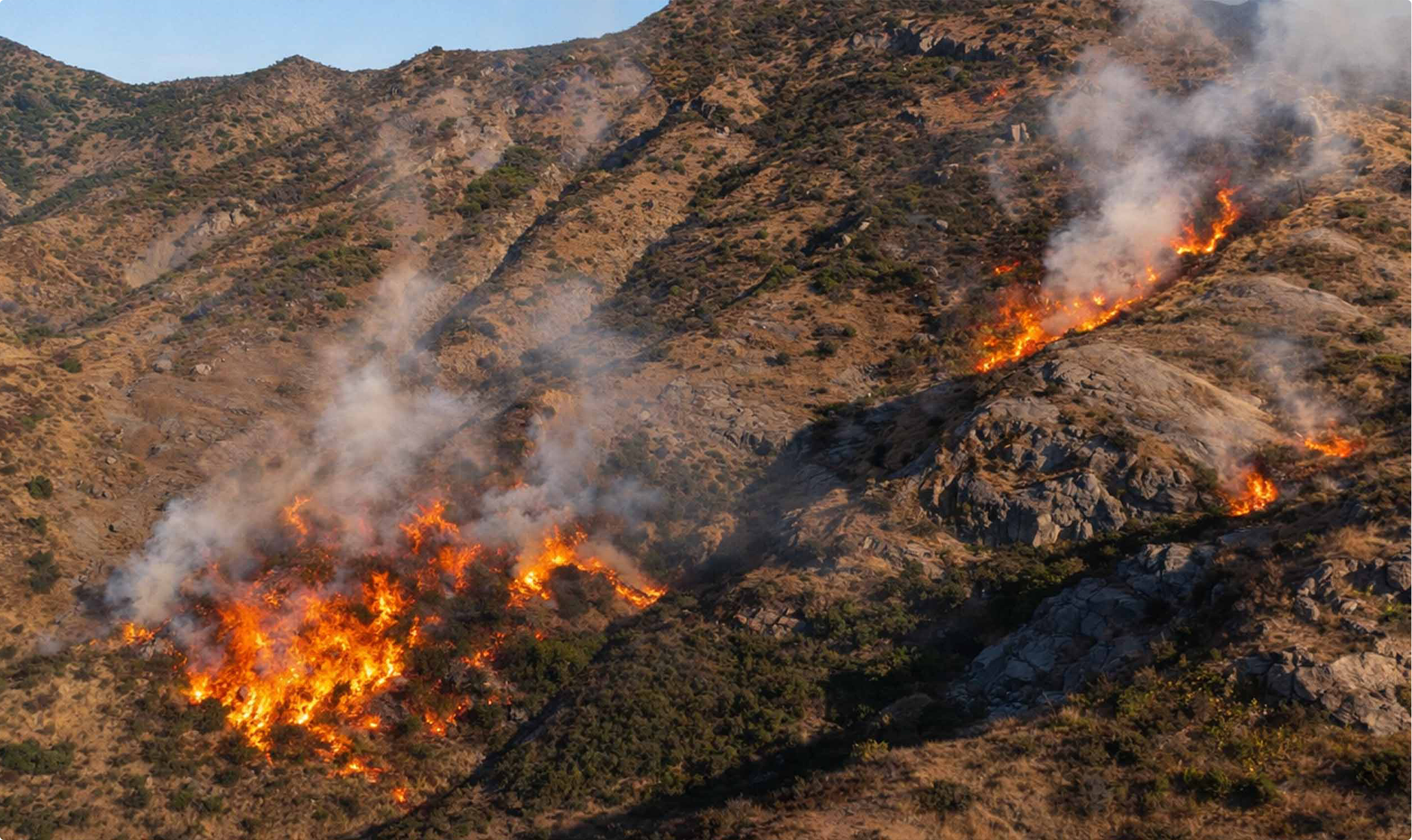 Smoke detection and air quality monitoring in remote forest environments