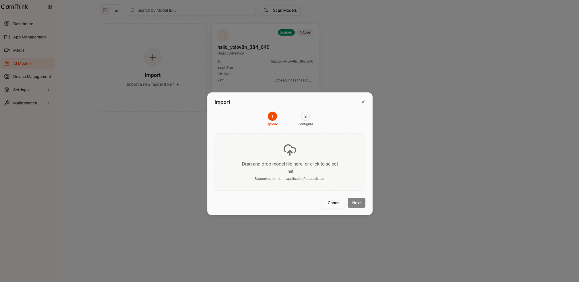 Model preload: scan and load model